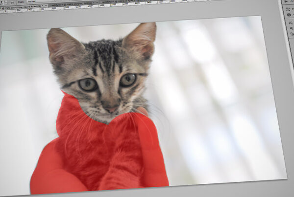 4 Ways to Select Objects in Photoshop