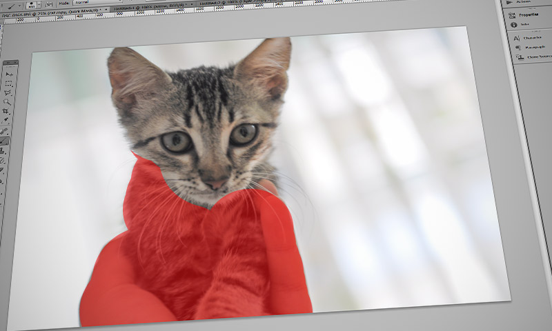 4 Ways to Select Objects in Photoshop