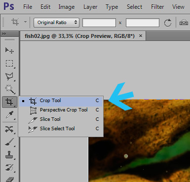 Basics: Crop and Resize Images in Photoshop