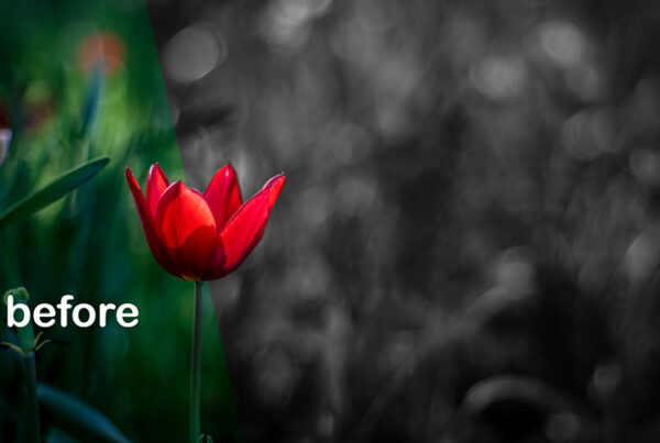Color Splash Effect Tutorial in Photoshop