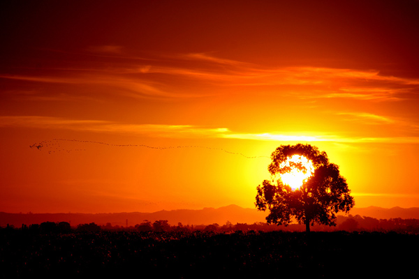 33 Stunning Sunset Photos