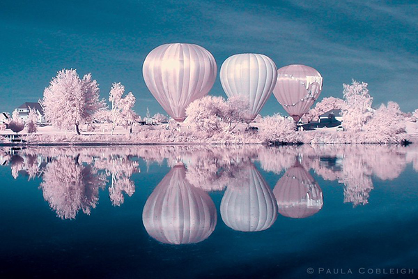 33 Amazing Near-Infrared Photos