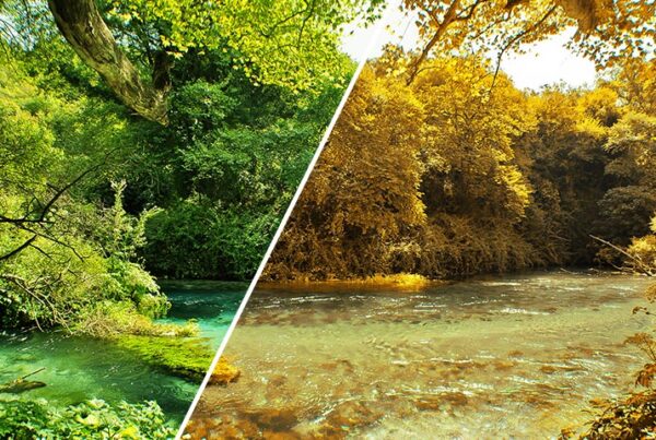 Turn Summer to Autumn in Photoshop