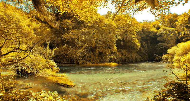 summer to autumn final image