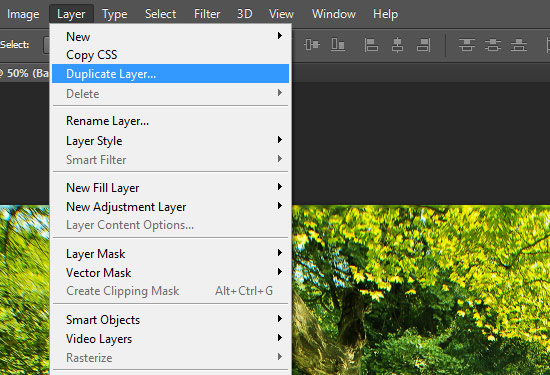 summer to autumn step1