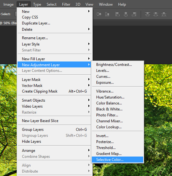 summer to autumn step2a