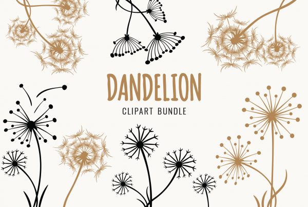 Dandelion Clipart Bundle 1 Clipart Vector Graphics