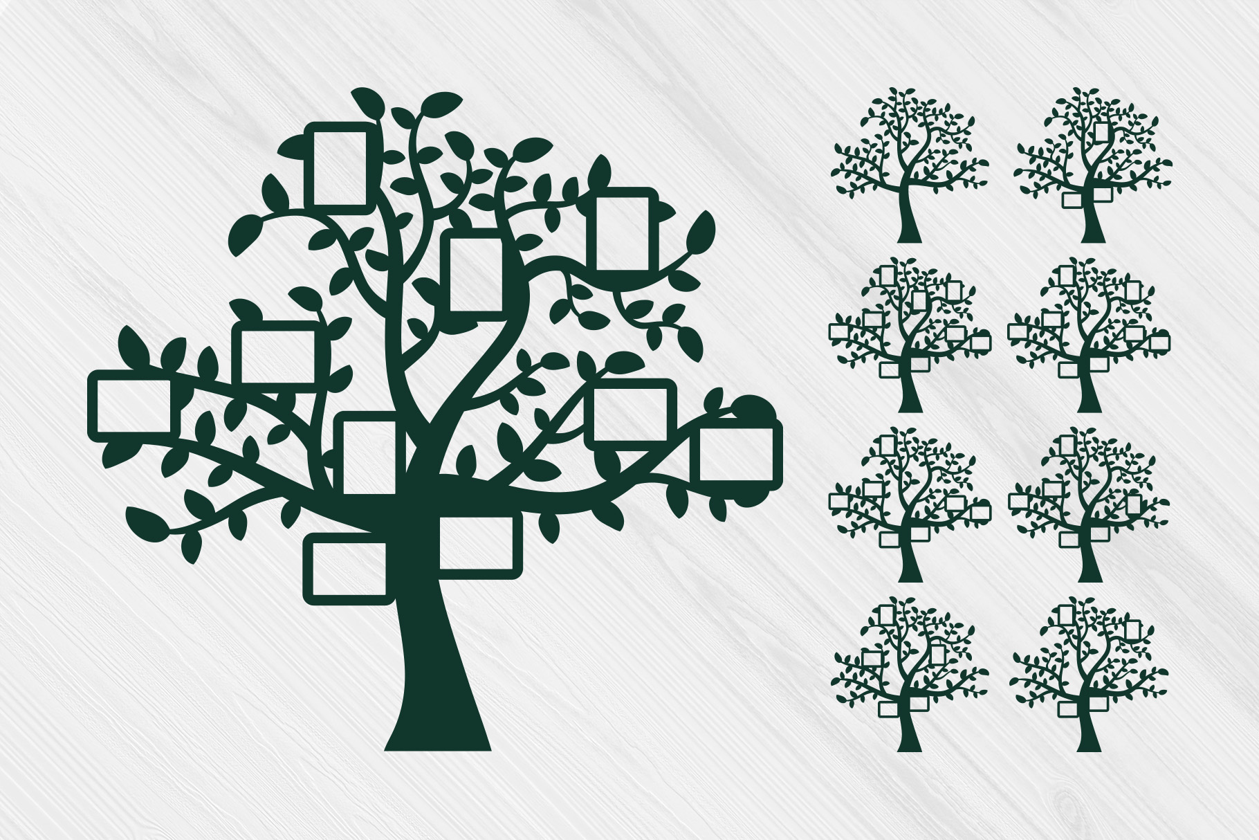 Genealogical Family Tree SVG Clipart Bundle 1 Genealogical Family Tree SVG Clipart Bundle