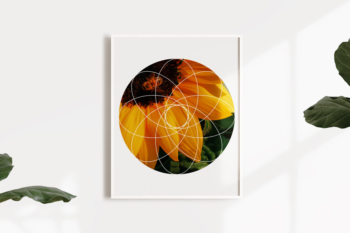 Geometric Photo Masks & Print Templates 1 Geometric Photo Masks & Templates