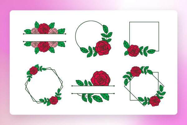 Rose Flower Colourful Frames