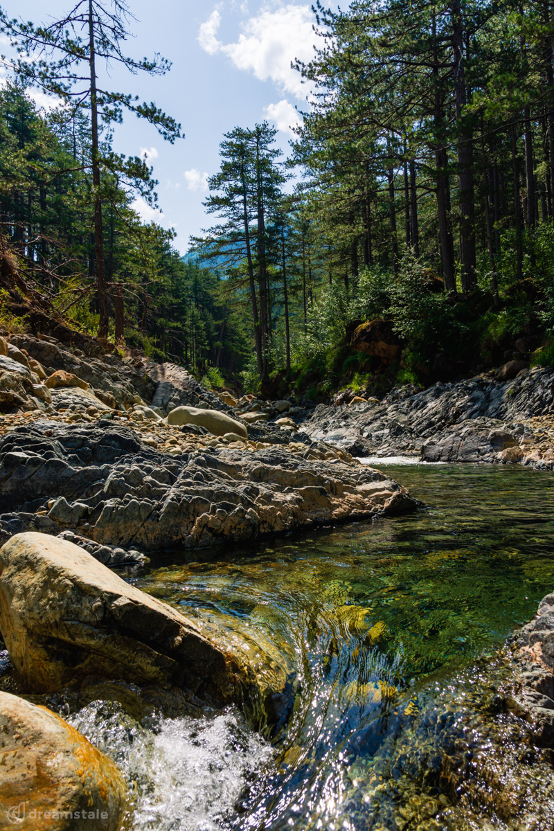 Summer River & Forest Landscape Stock Photo 1 Summer River & Forest Landscape Stock Photo