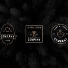 Modern Vintage Logo Templates 2 Minimalist Vector Logo Templates Bundle Vol. 1