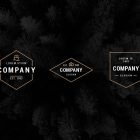 Modern Vintage Logo Templates 3 Minimalist Vector Logo Templates Bundle Vol. 1