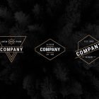 Modern Vintage Logo Templates 4 Minimalist Vector Logo Templates Bundle Vol. 1