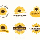 Sunflower Logo Templates Illustrations 2 Minimalist Vector Logo Templates Bundle Vol. 1