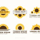 Sunflower Logo Templates Illustrations 3 Minimalist Vector Logo Templates Bundle Vol. 1