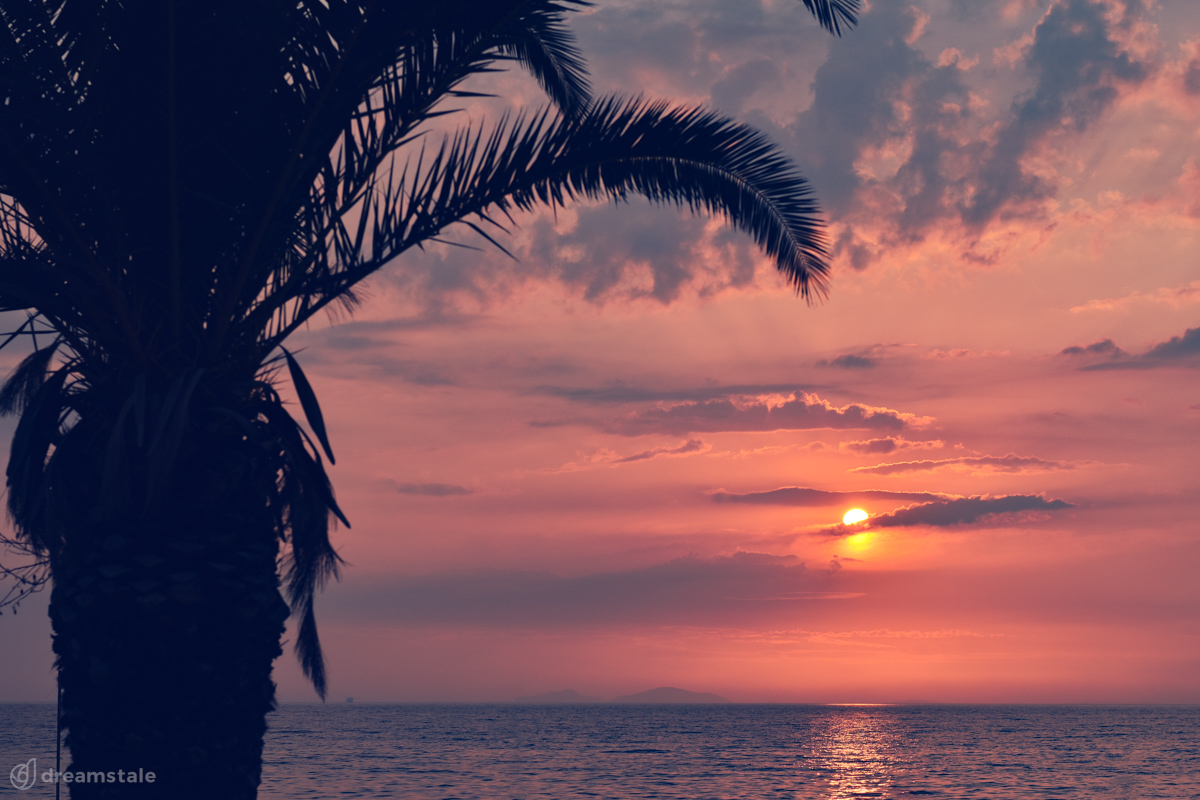 Palm Tree Sunset Silhouette Background Stock Photo