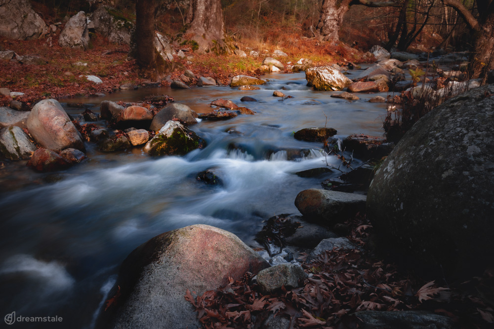 Autumn River Creek in Forest Stock Photo