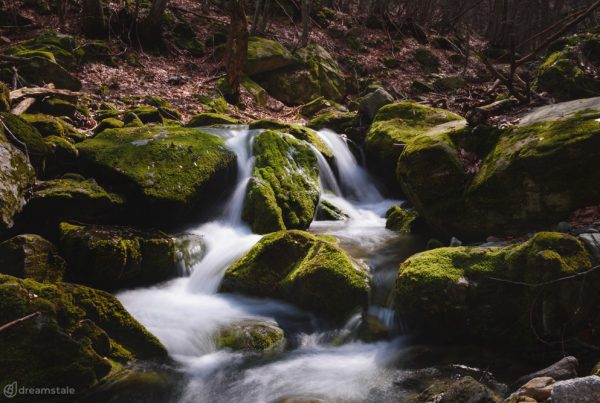 Beautiful Waterfall in Autumn Forest Stock Photo