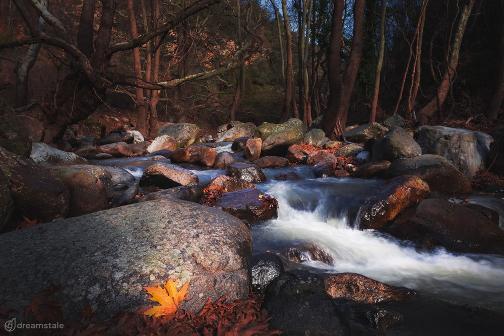 River Fall in Forest Landscape Stock Photo