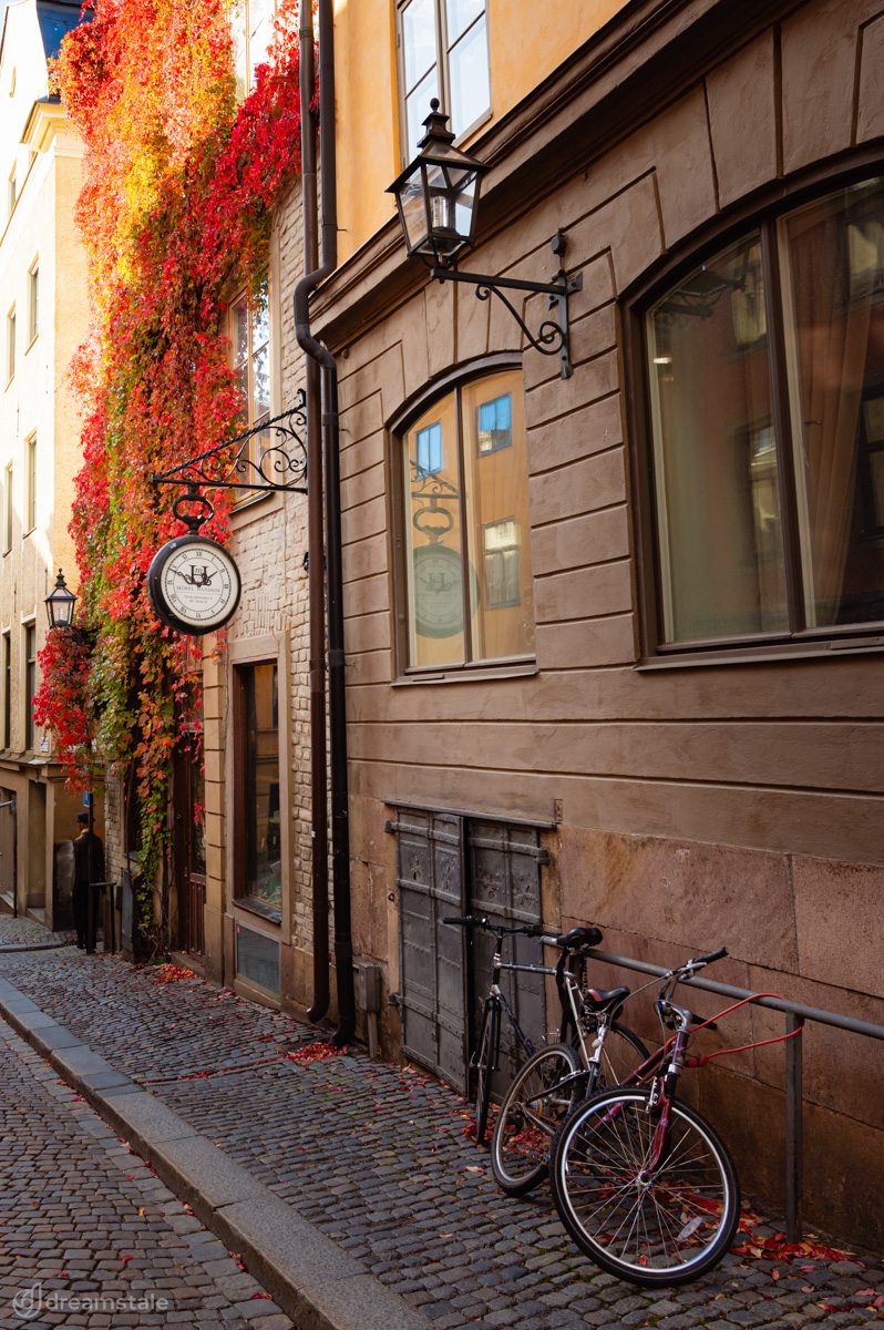 Bicycle & Autumn Leaves in Stockholm City Stock Photo
